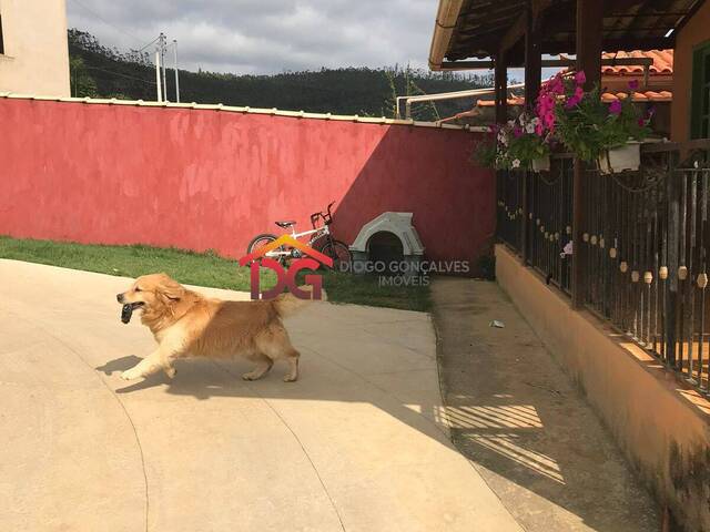 #74 - Chácara para Venda em Senhora de Oliveira - MG