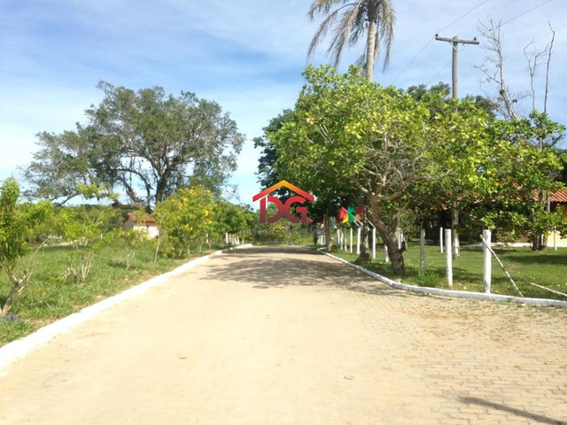  para  em  - 4