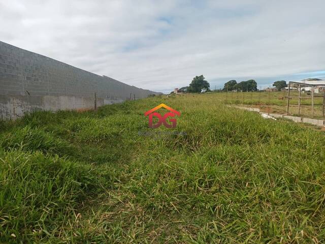 Área para Venda em São Pedro da Aldeia - 2