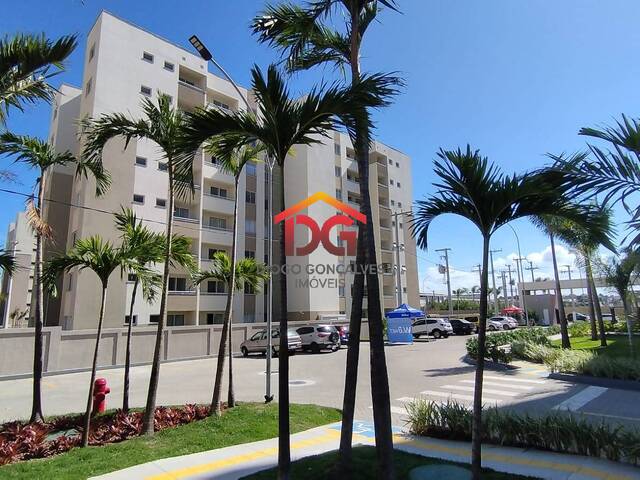 Apartamento para Locação em São Pedro da Aldeia - 5